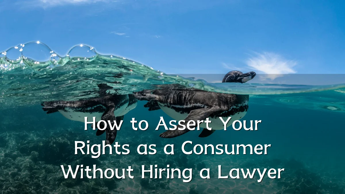 How to Assert Your Rights as a Consumer Without Hiring a Lawyer