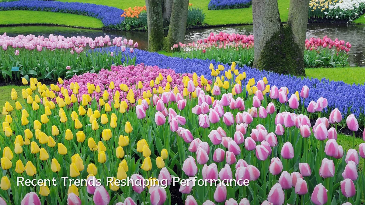 Recent Trends Reshaping Performance
