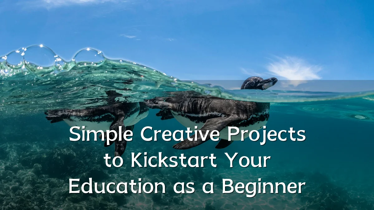 Simple Creative Projects to Kickstart Your Education as a Beginner