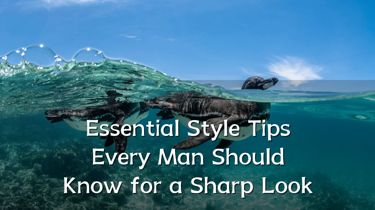 Essential Style Tips Every Man Should Know for a Sharp Look
