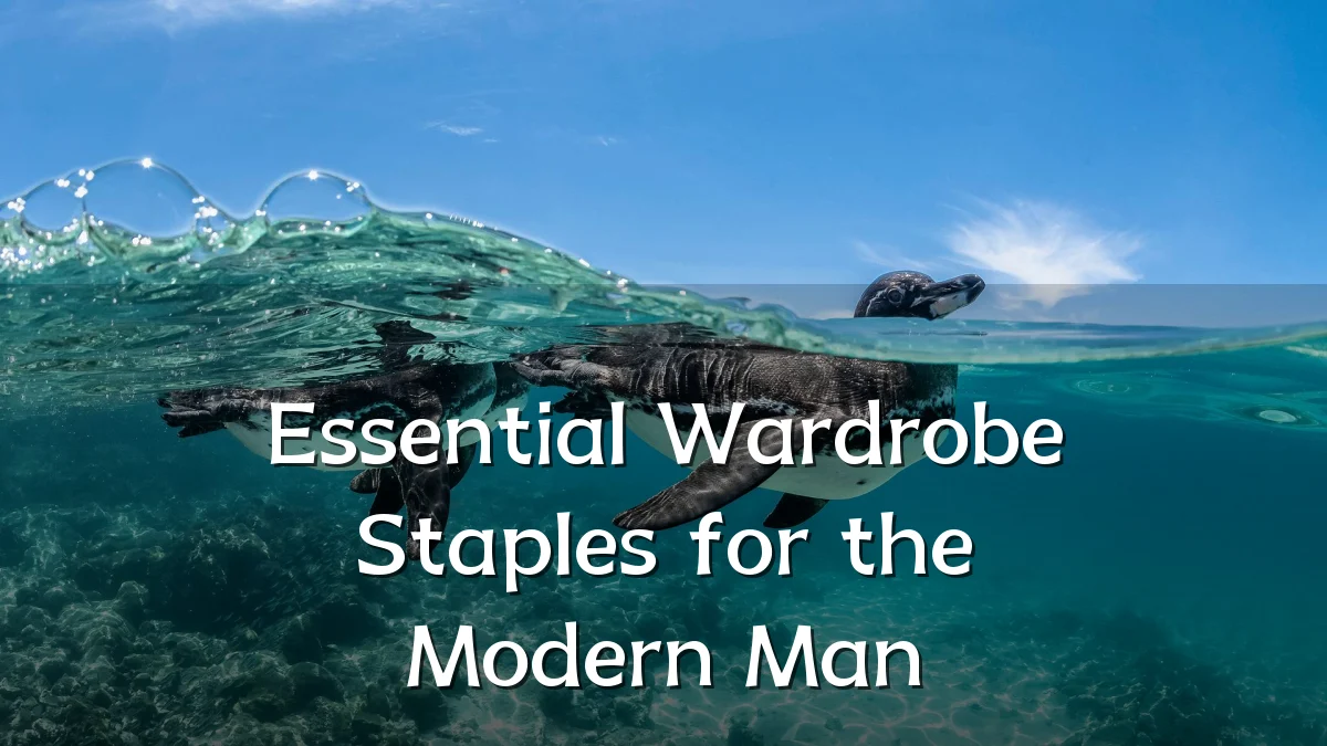 Essential Wardrobe Staples for the Modern Man