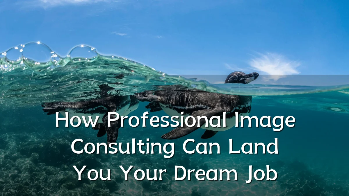 How Professional Image Consulting Can Land You Your Dream Job
