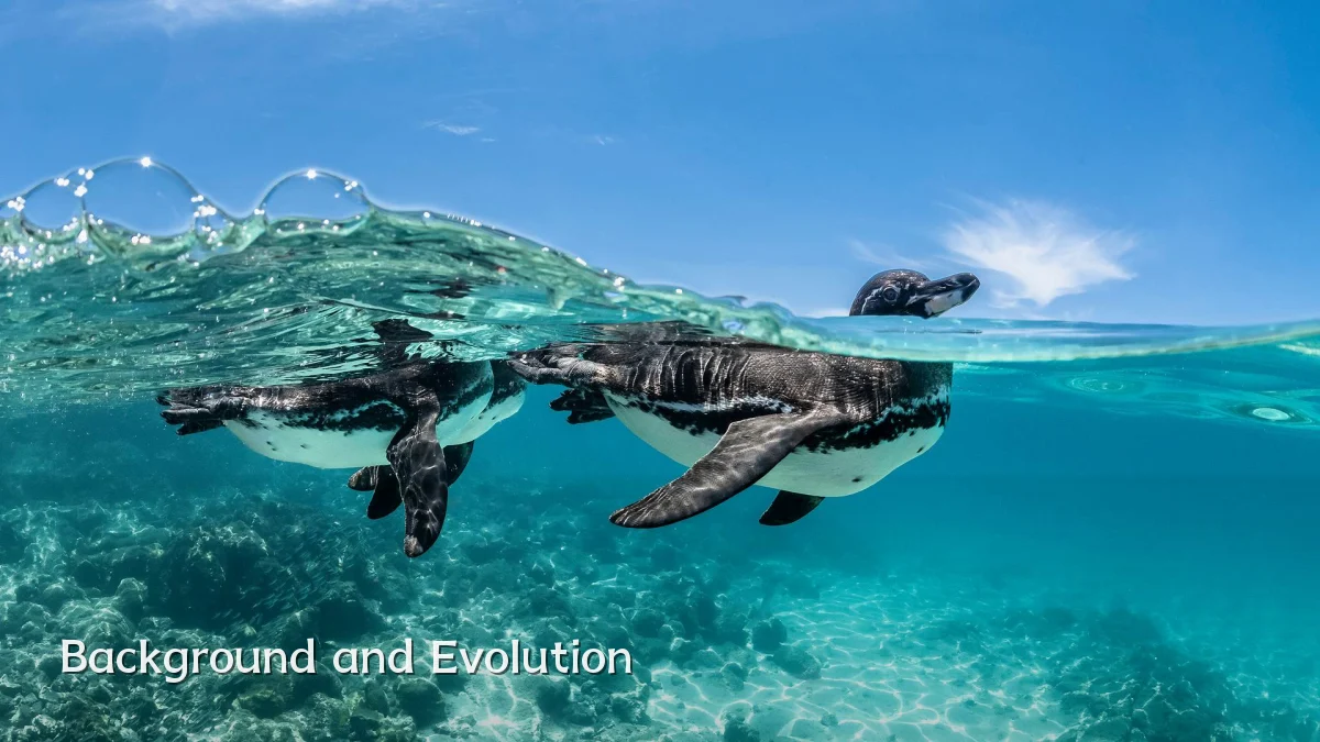 Background and Evolution