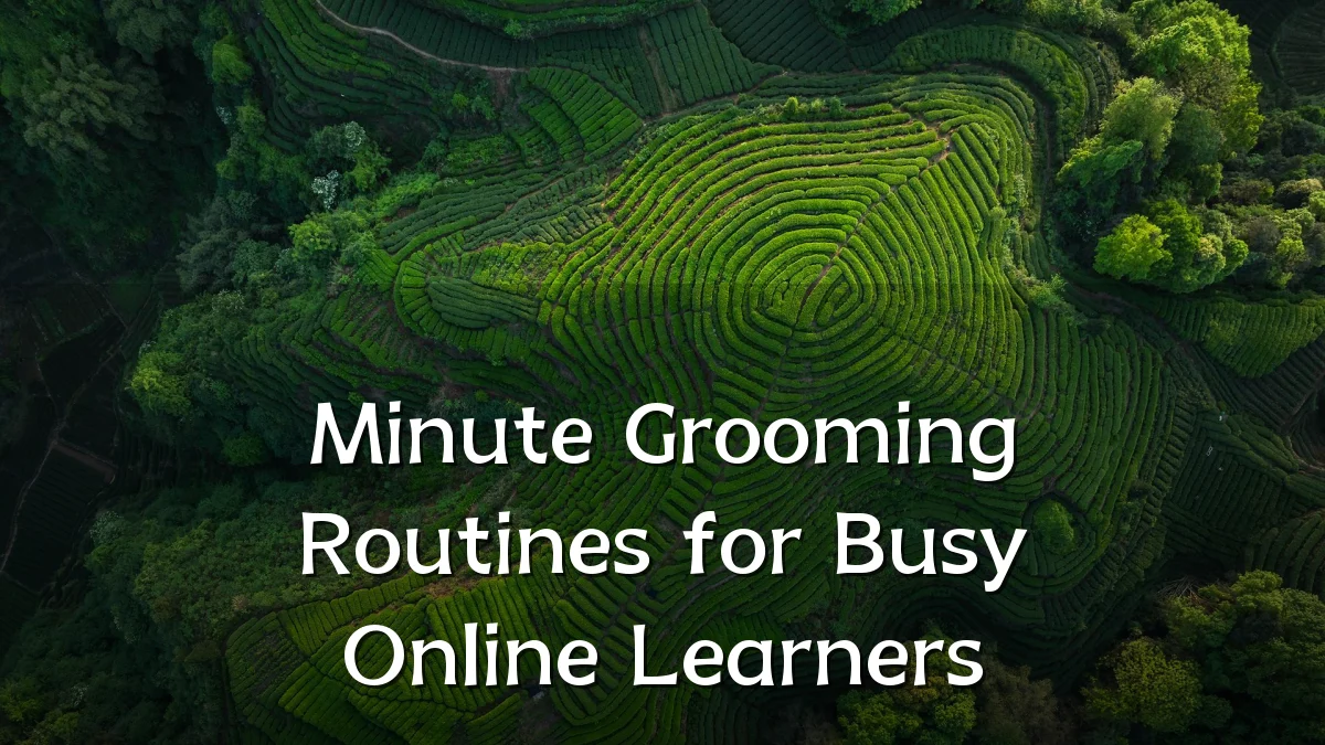 Minute Grooming Routines for Busy Online Learners