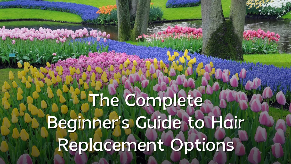 The Complete Beginner's Guide to Hair Replacement Options