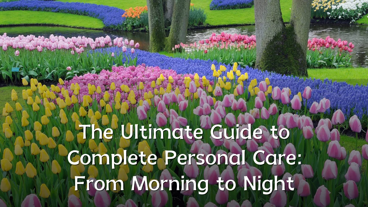 The Ultimate Guide to Complete Personal Care: From Morning to Night