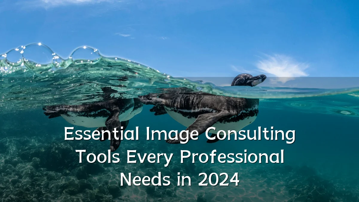 Essential Image Consulting Tools Every Professional Needs in 2024