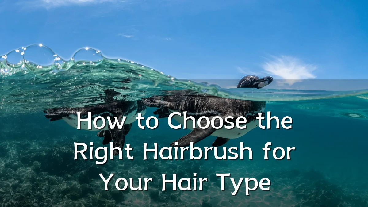 How to Choose the Right Hairbrush for Your Hair Type