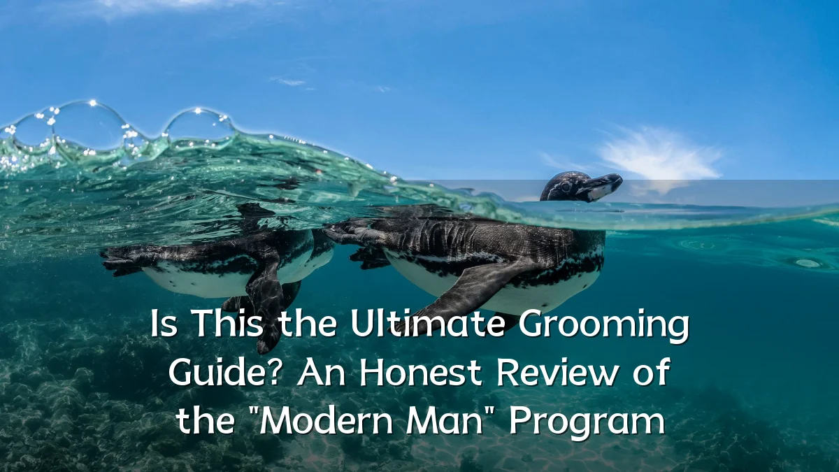 Is This the Ultimate Grooming Guide? An Honest Review of the "Modern Man" Program