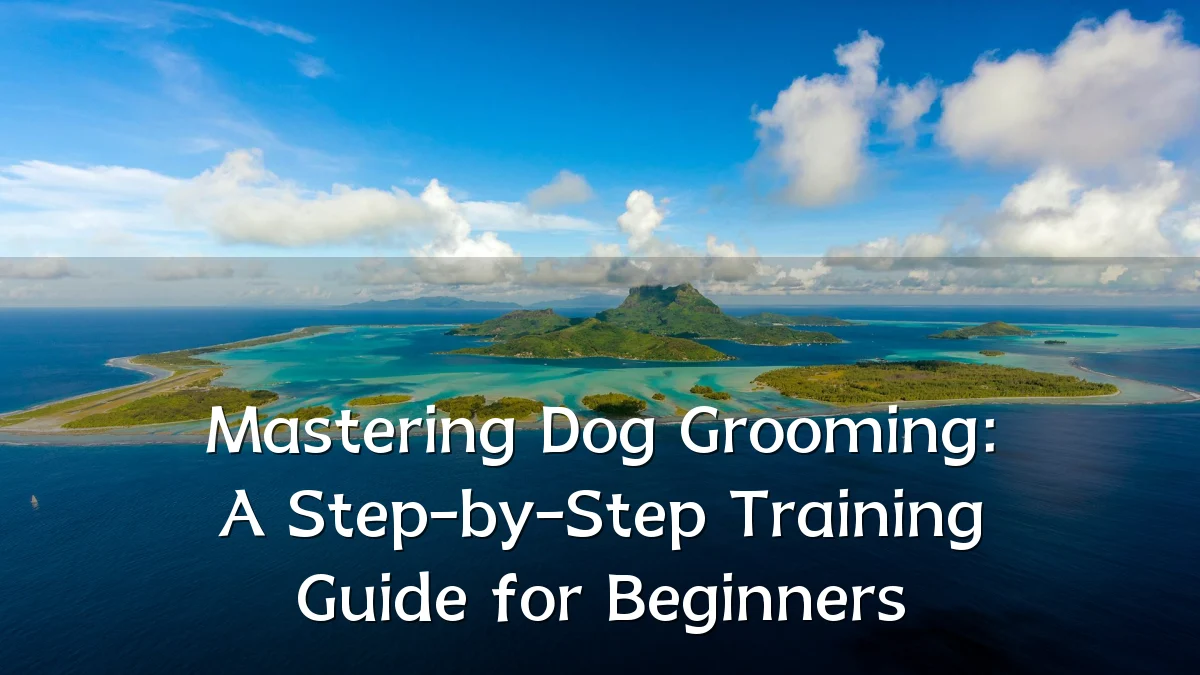 Mastering Dog Grooming: A Step-by-Step Training Guide for Beginners