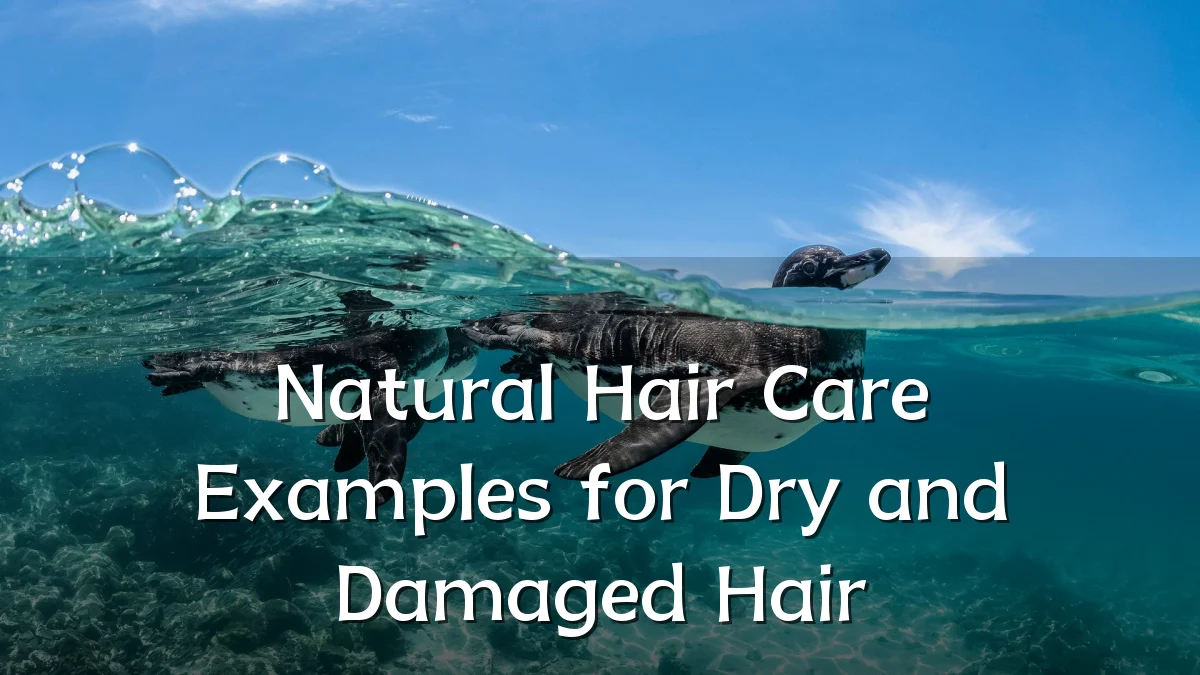 Natural Hair Care Examples for Dry and Damaged Hair