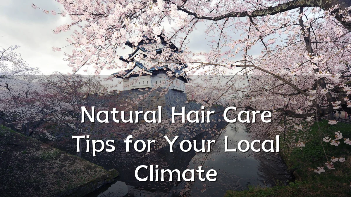 Natural Hair Care Tips for Your Local Climate