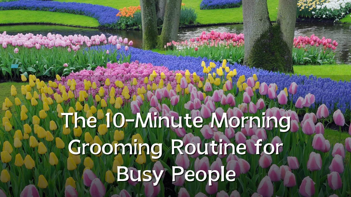 The 10-Minute Morning Grooming Routine for Busy People