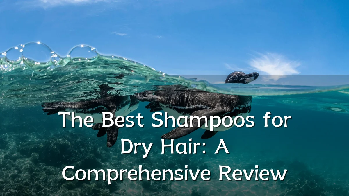 The Best Shampoos for Dry Hair: A Comprehensive Review