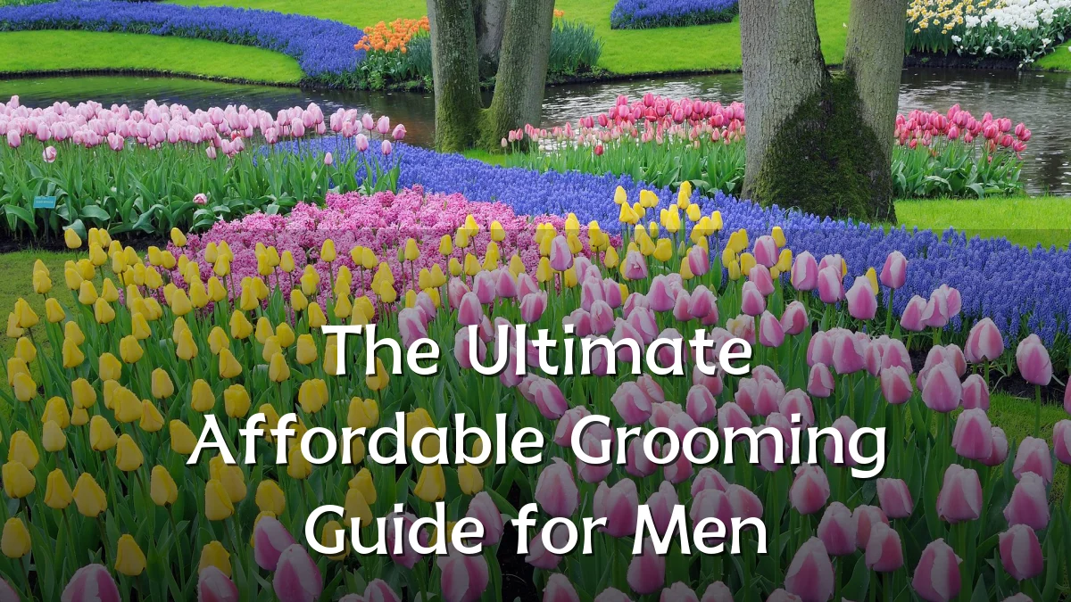The Ultimate Affordable Grooming Guide for Men