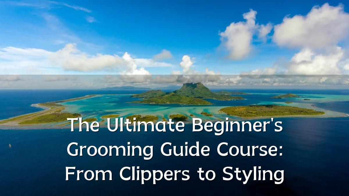 The Ultimate Beginner's Grooming Guide Course: From Clippers to Styling