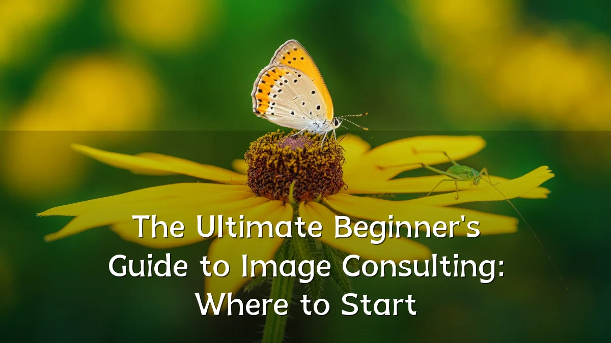 The Ultimate Beginner's Guide to Image Consulting: Where to Start
