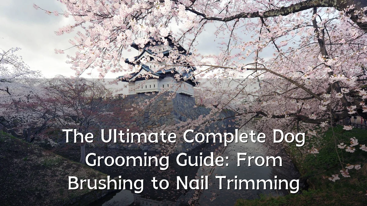 The Ultimate Complete Dog Grooming Guide: From Brushing to Nail Trimming
