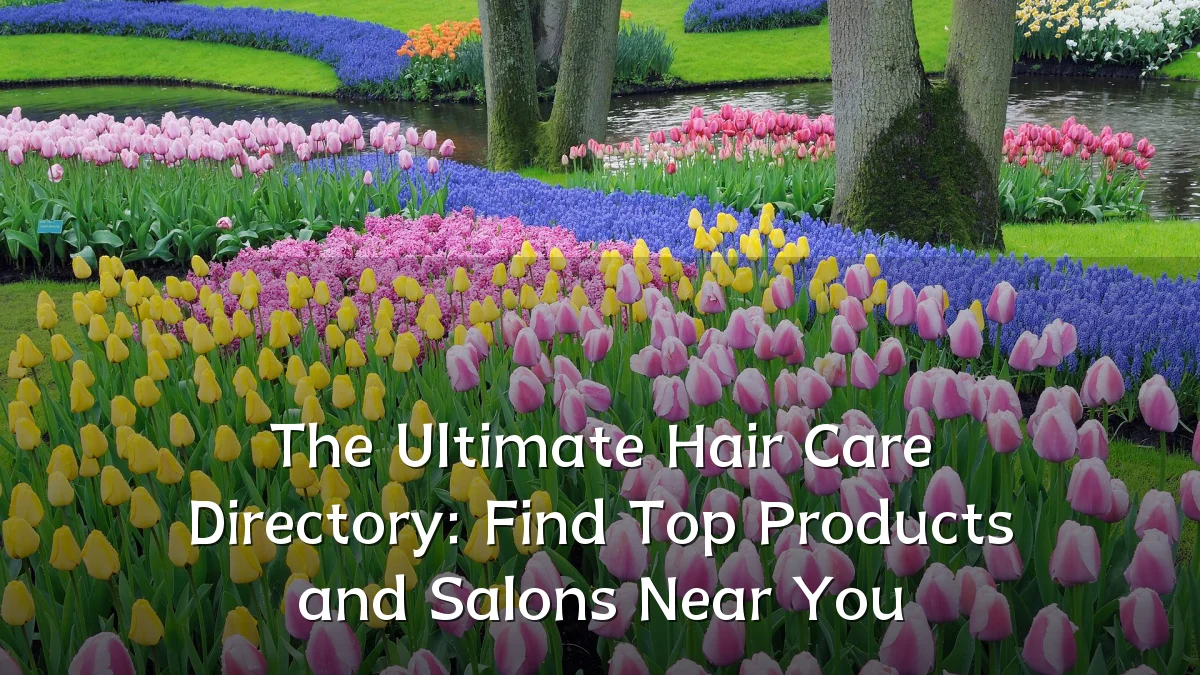 The Ultimate Hair Care Directory: Find Top Products and Salons Near You