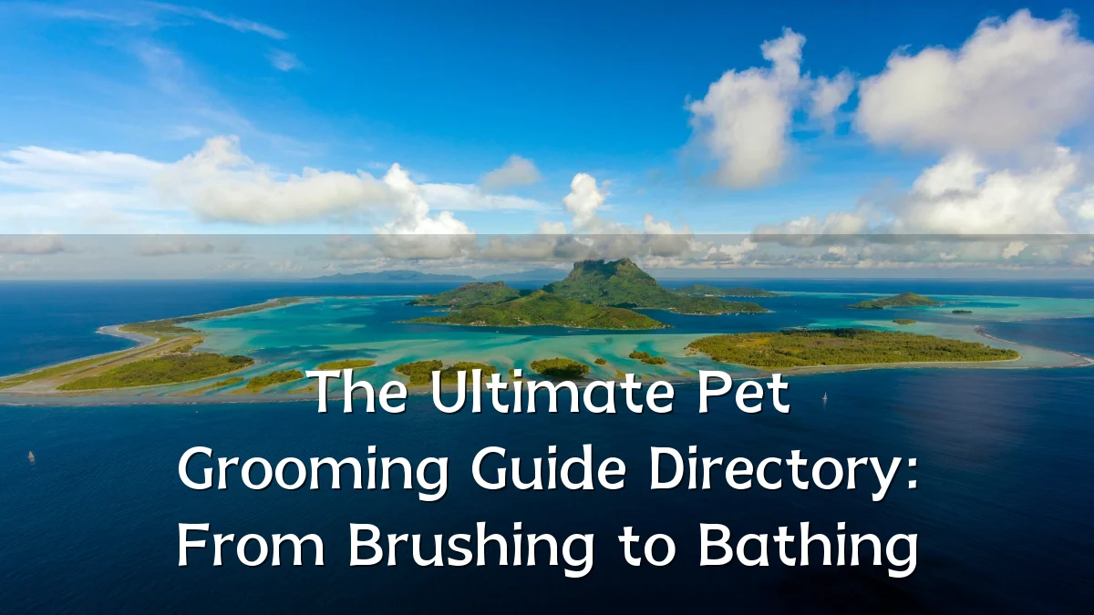 The Ultimate Pet Grooming Guide Directory: From Brushing to Bathing