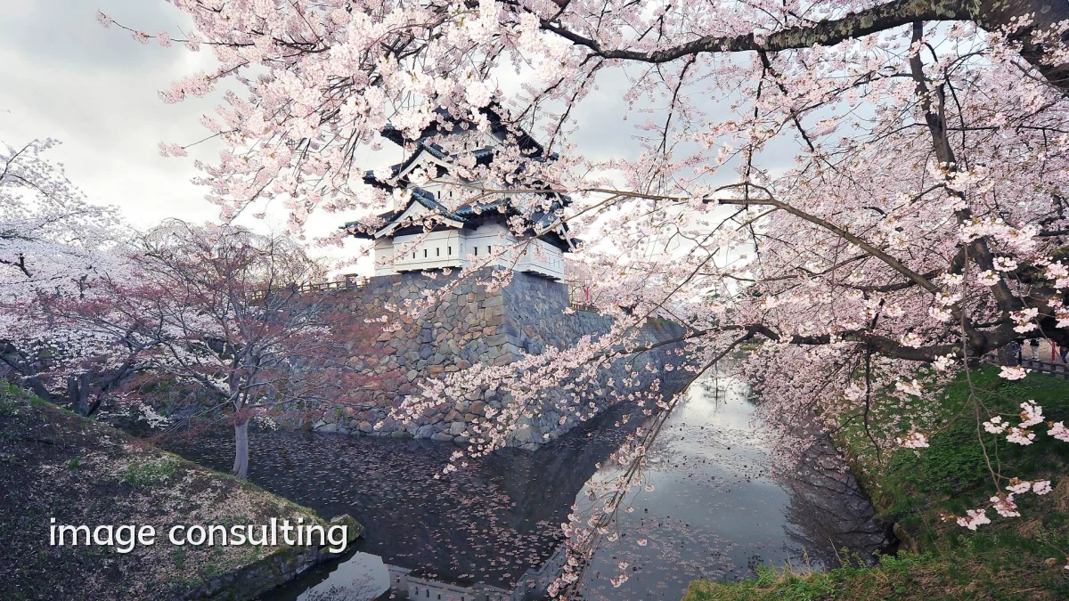 image consulting