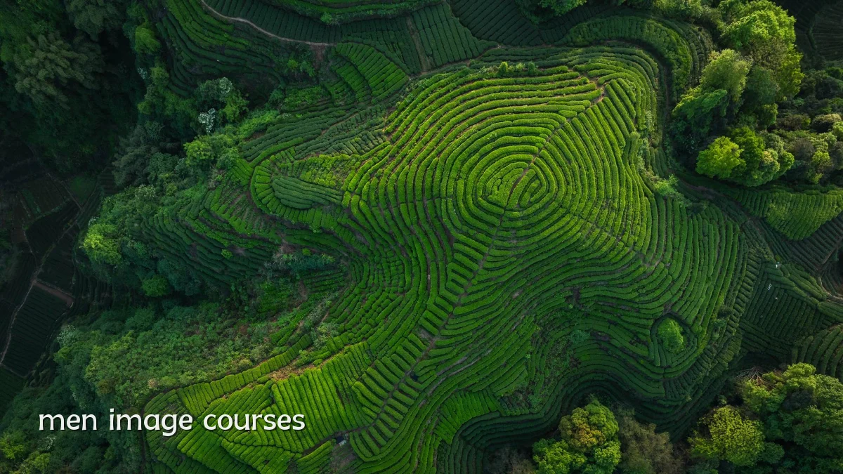 men image courses