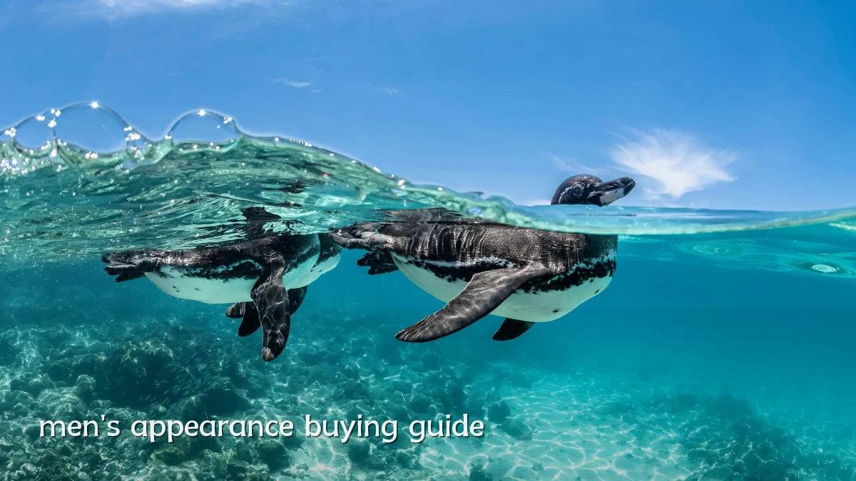 men's appearance buying guide