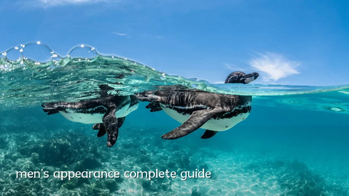 men's appearance complete guide