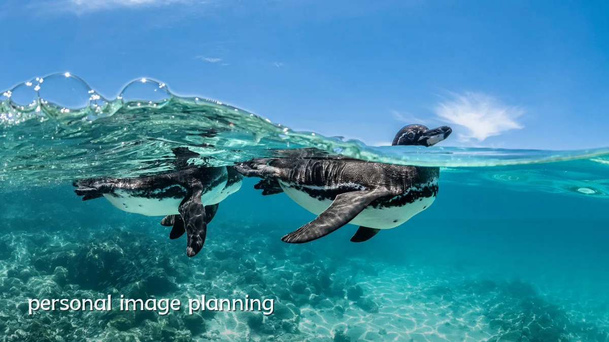 personal image planning