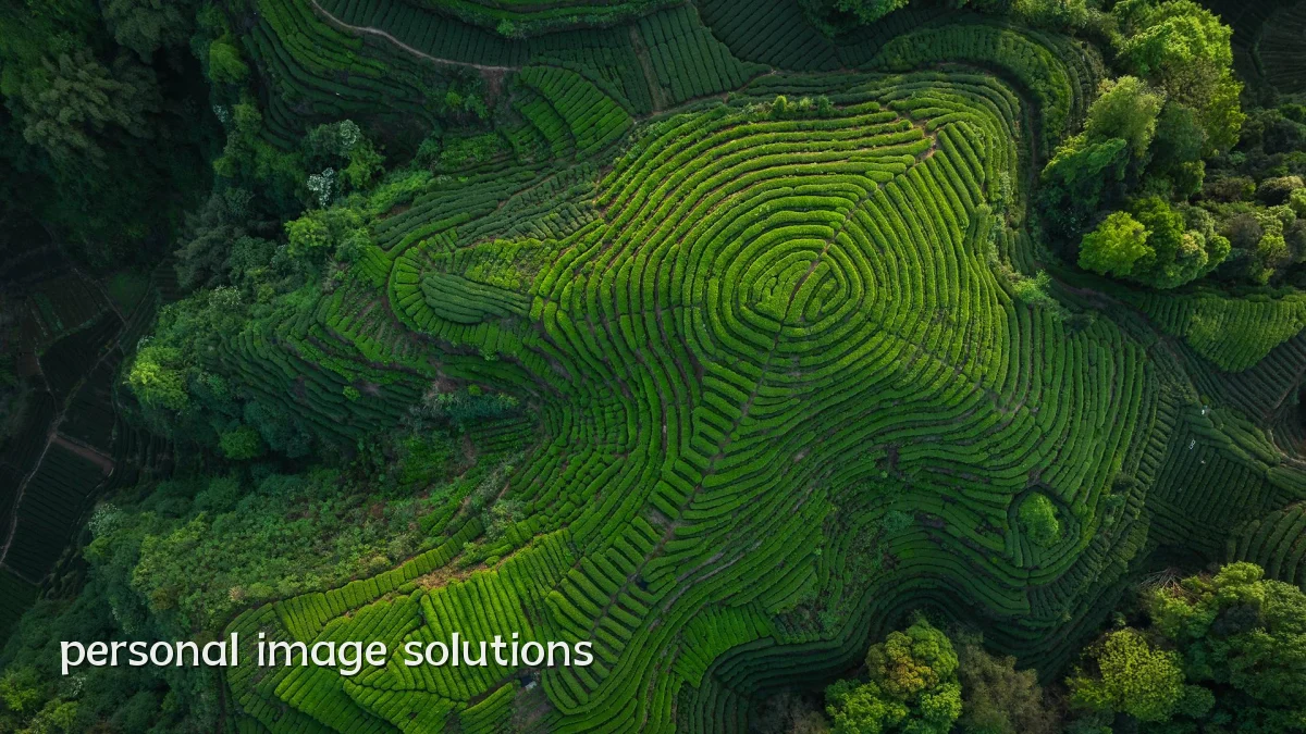 personal image solutions