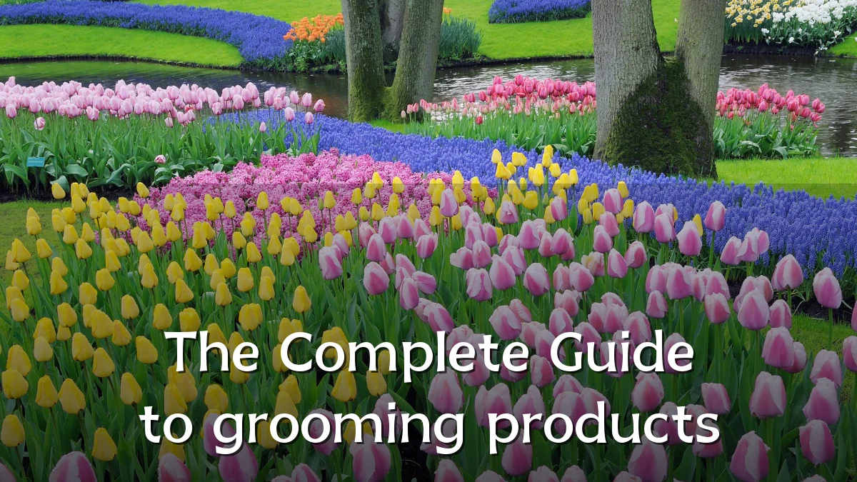 The Complete Guide to grooming products