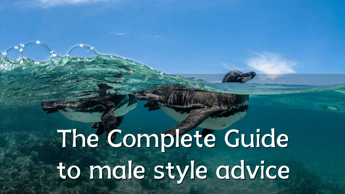 The Complete Guide to male style advice