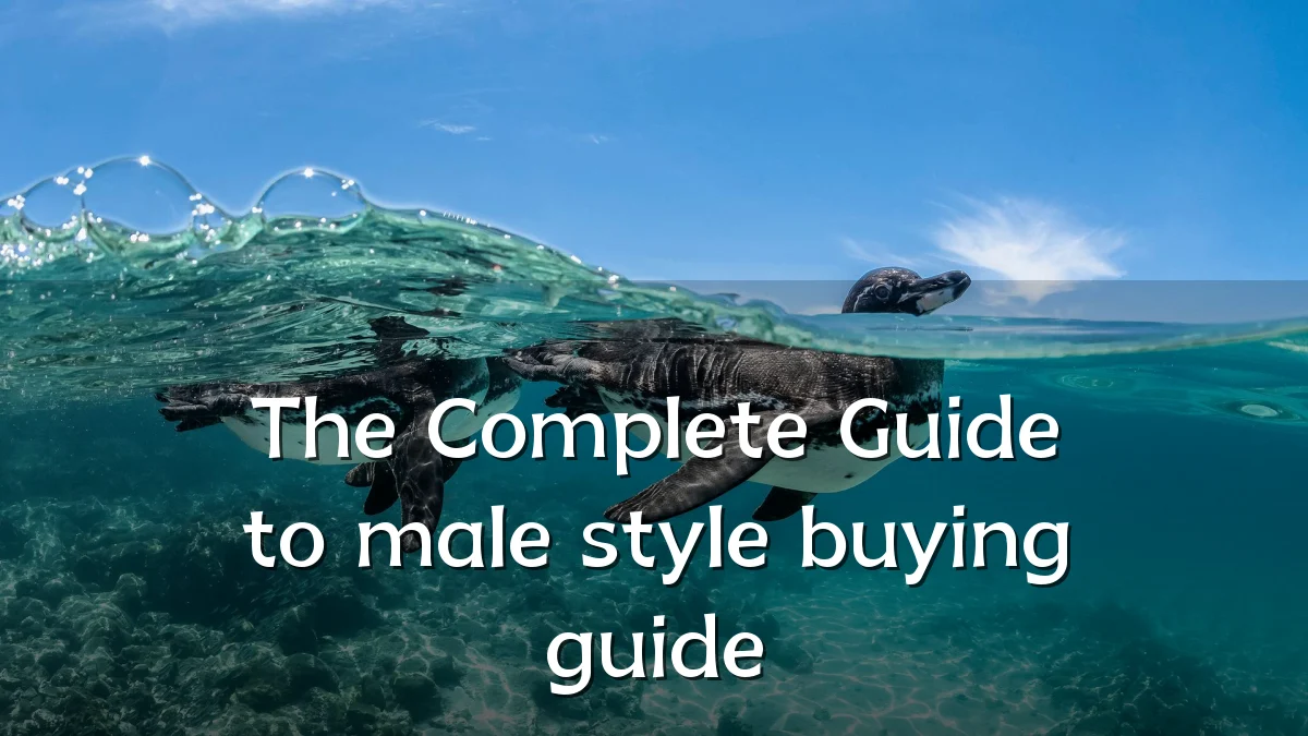 The Complete Guide to male style buying guide