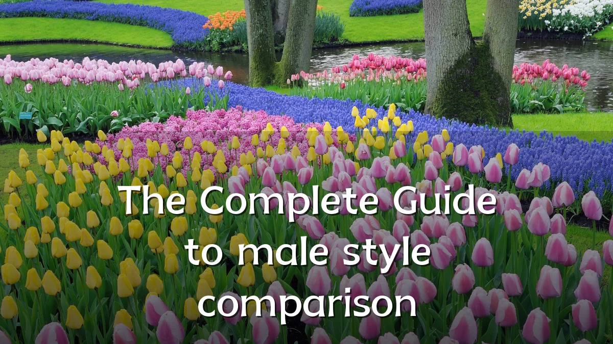 The Complete Guide to male style comparison