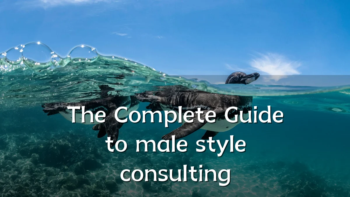The Complete Guide to male style consulting