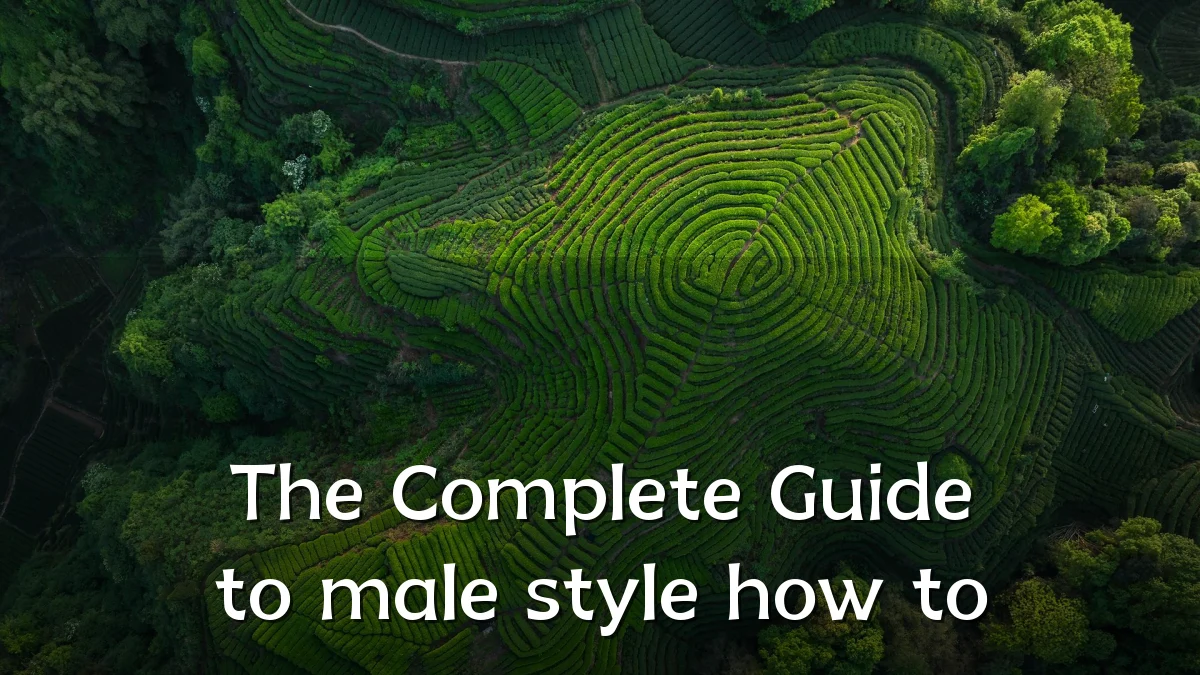 The Complete Guide to male style how to