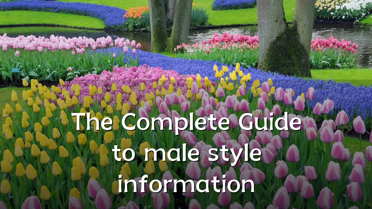 The Complete Guide to male style information