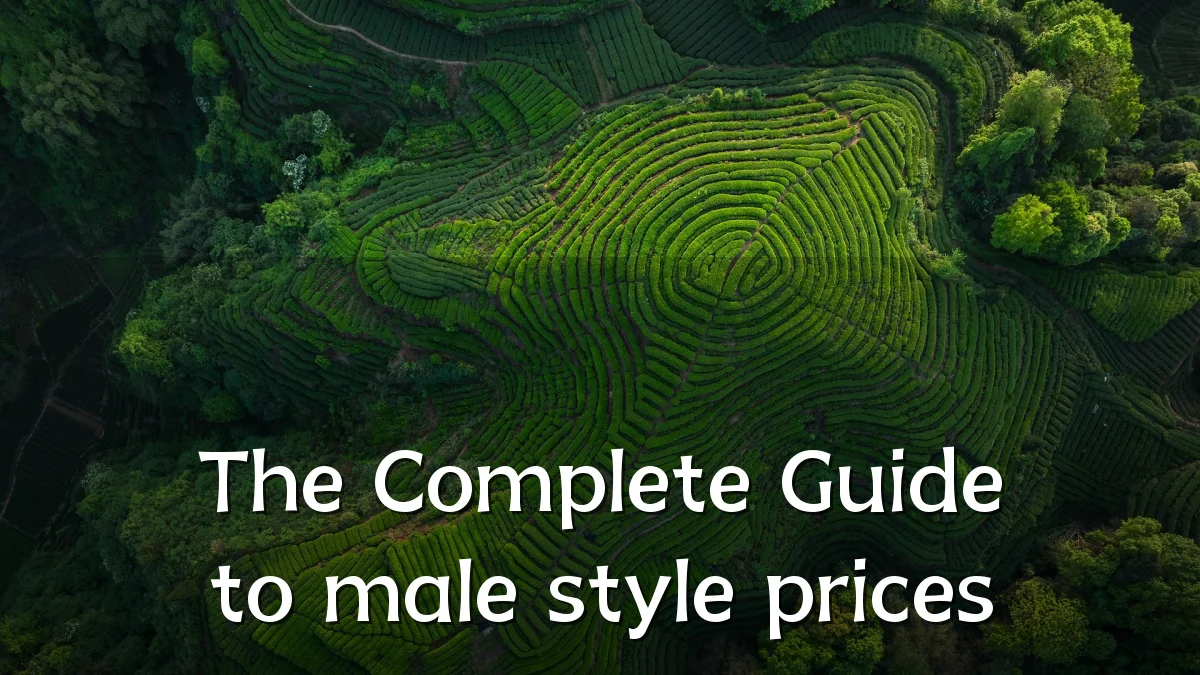 The Complete Guide to male style prices