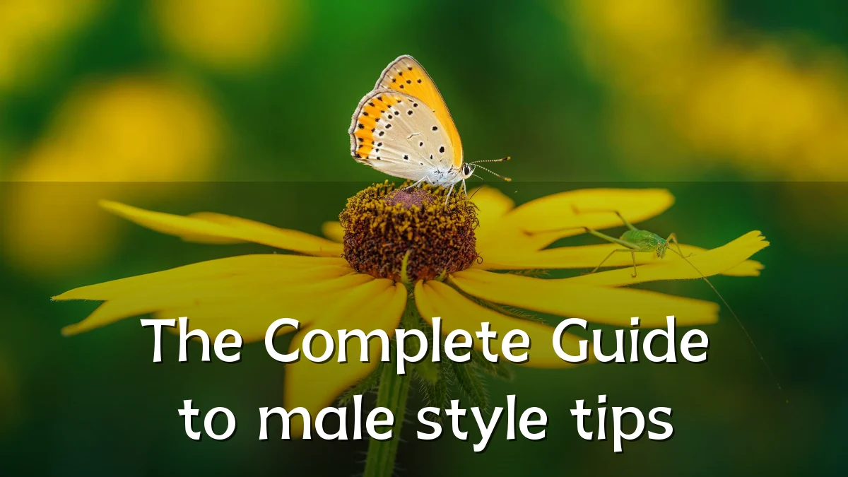The Complete Guide to male style tips