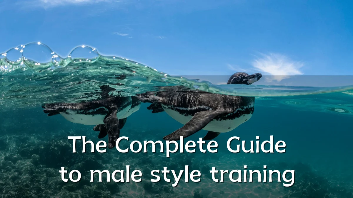 The Complete Guide to male style training