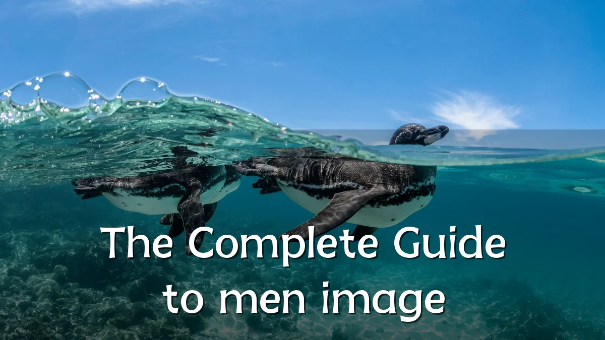 The Complete Guide to men image