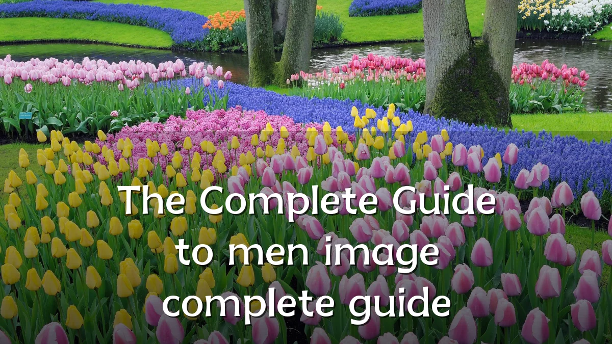 The Complete Guide to men image complete guide