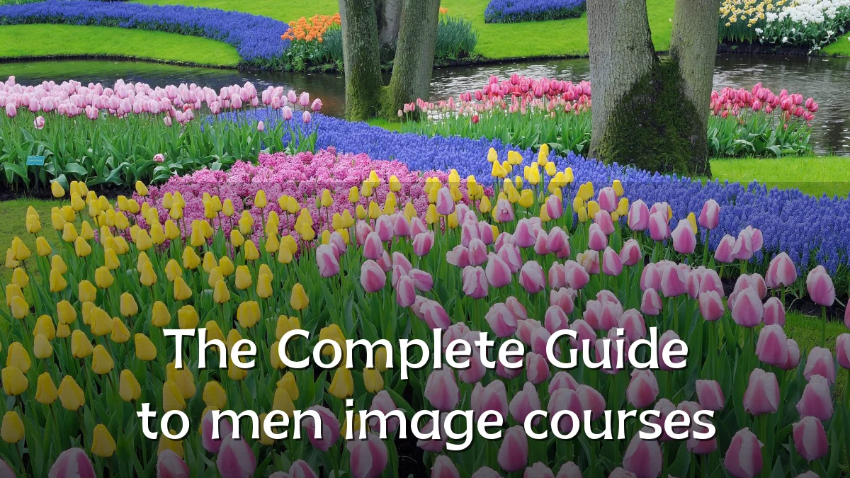 The Complete Guide to men image courses