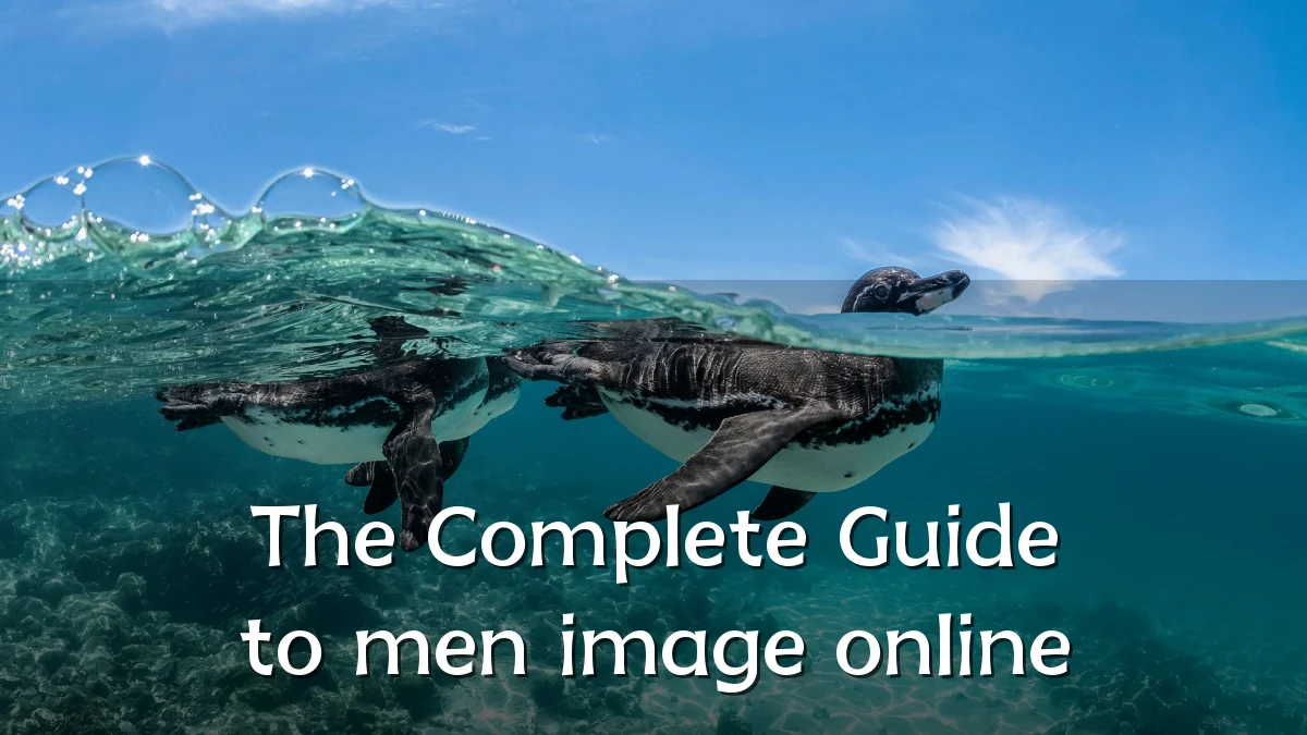 The Complete Guide to men image online