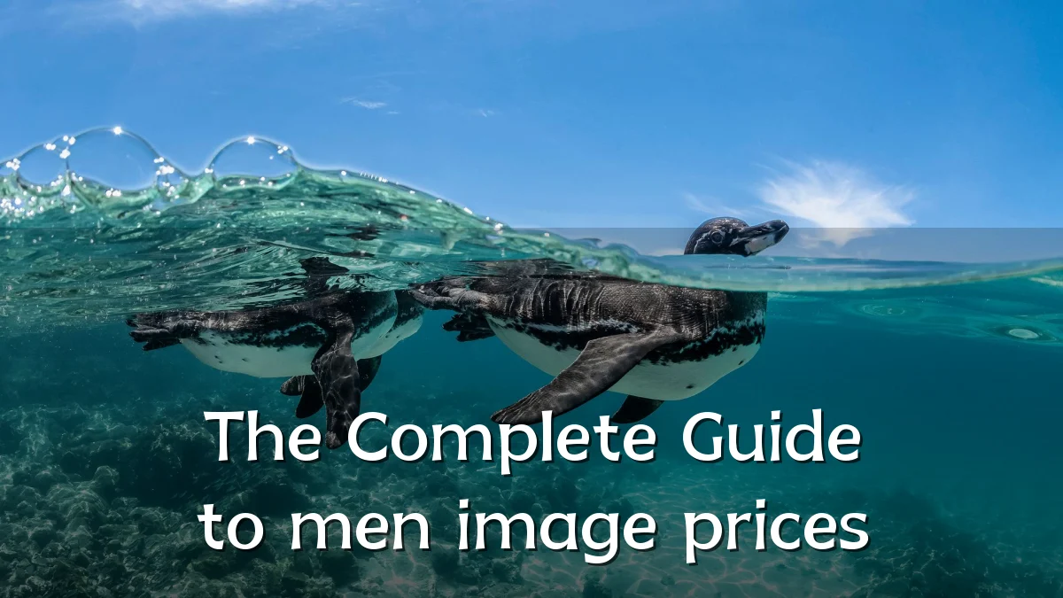 The Complete Guide to men image prices