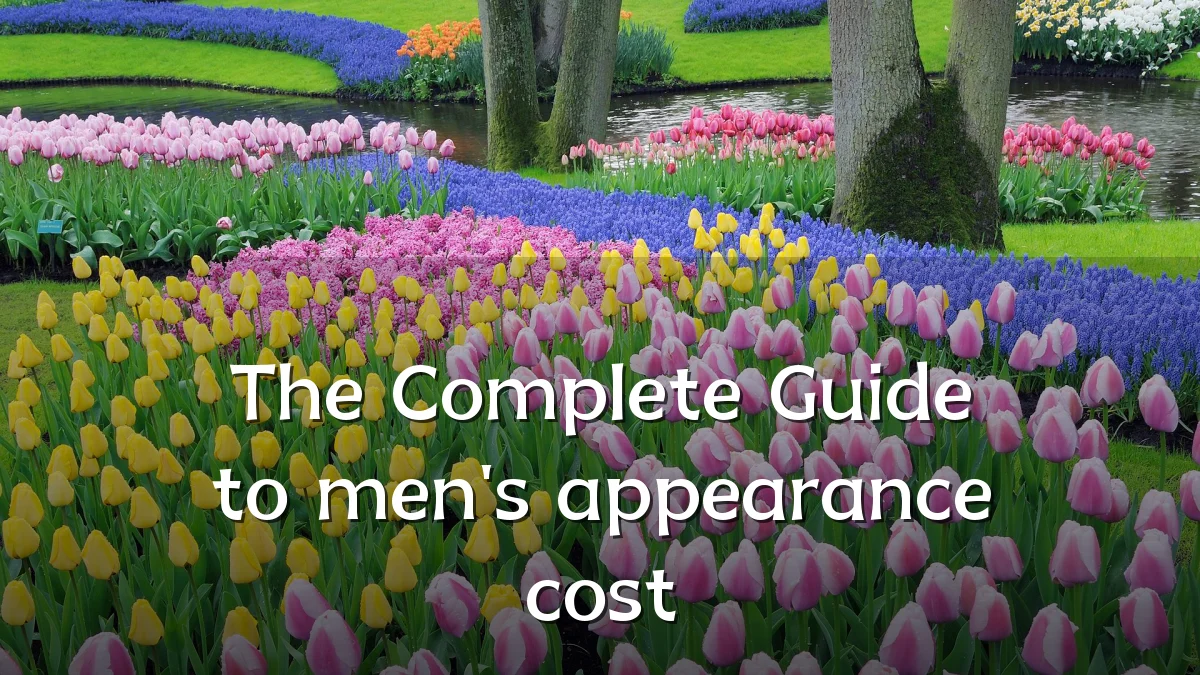 The Complete Guide to men's appearance cost