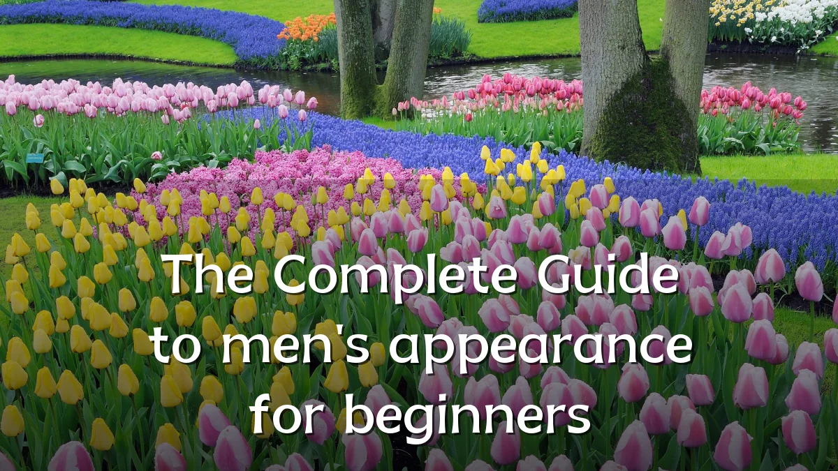 The Complete Guide to men's appearance for beginners