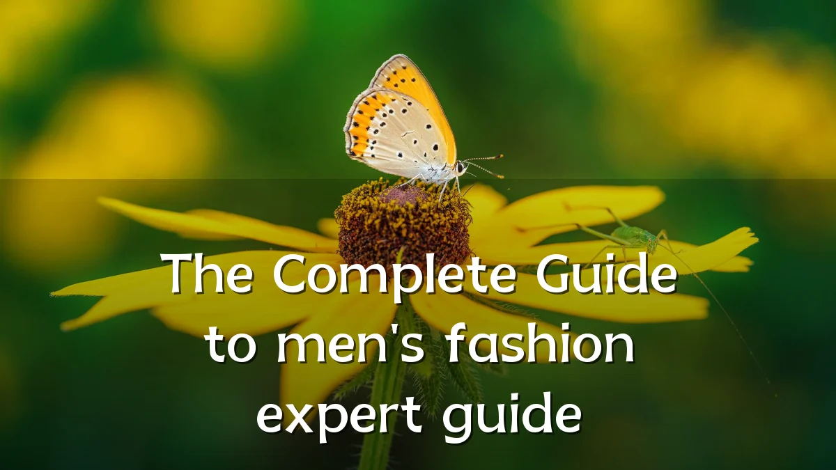 The Complete Guide to men's fashion expert guide