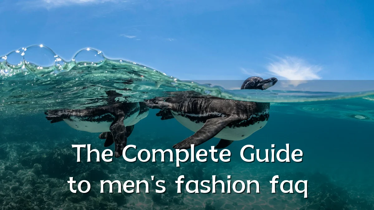 The Complete Guide to men's fashion faq