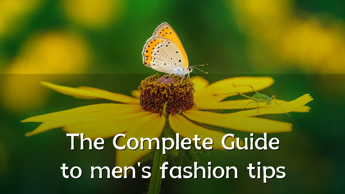 The Complete Guide to men's fashion tips